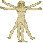 Chiropractic Image